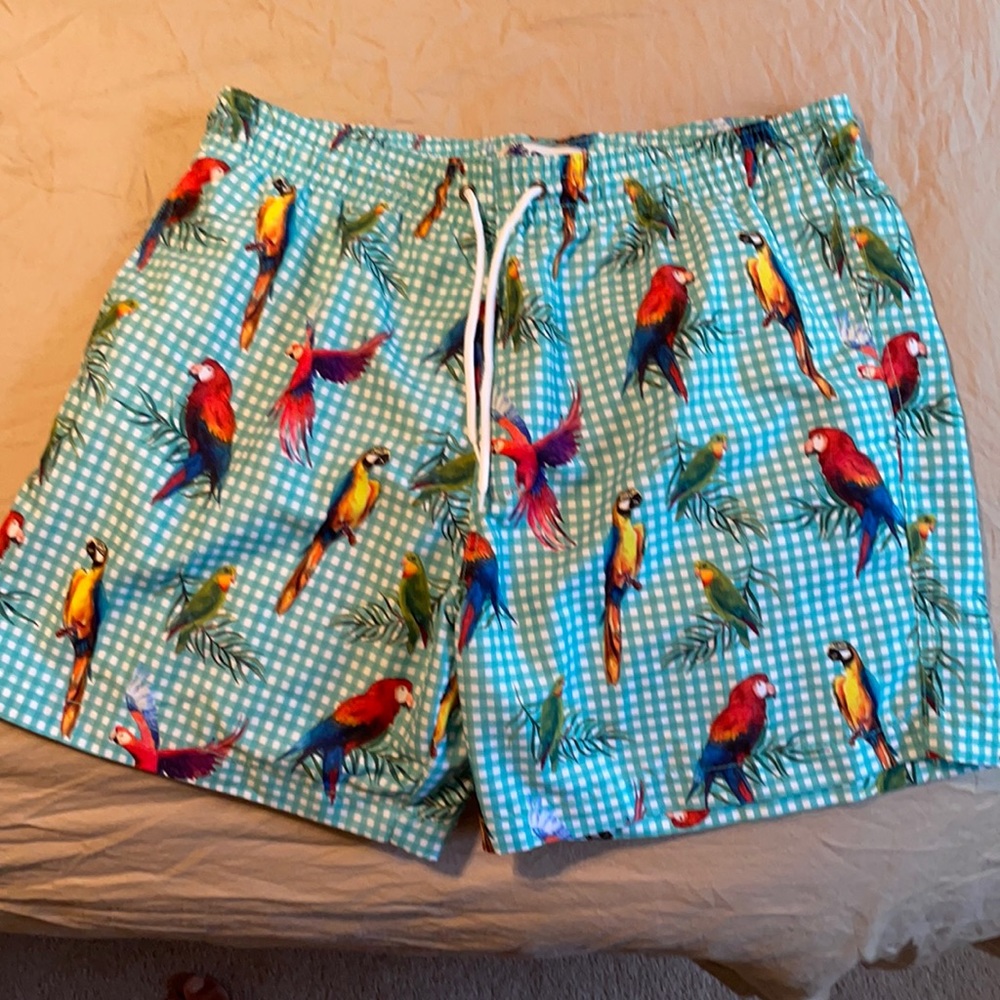 Men’s Trunks brand swimsuit